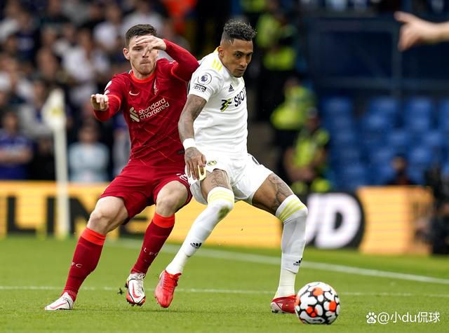 欧美一区二区三区免费不卡