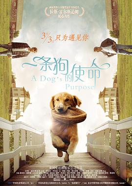秦守仁许婷