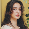 免费高清在线影片一区