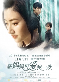 国产精品入口免费麻豆