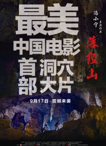 白领