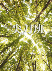 伊人网综合视频